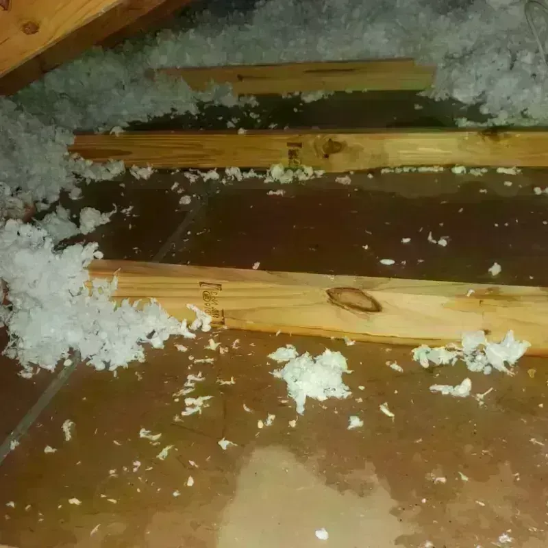 Attic Water Damage in Fruitland, NC